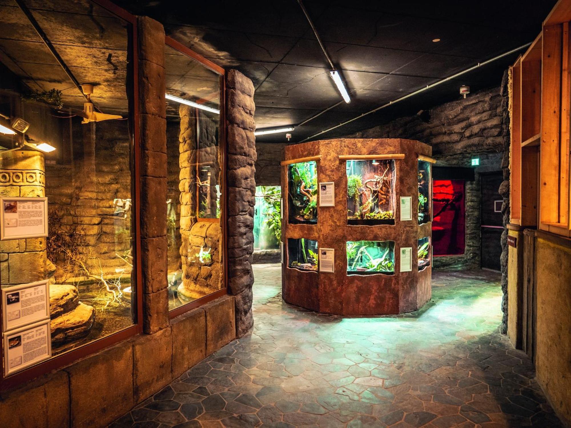 Appartements Im Freizeitpark Weissenhaeuser Strand エクステリア 写真